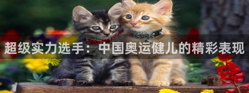 尊龙官方正版app娱乐是那个系列的台子:超级实力选手:中国奥