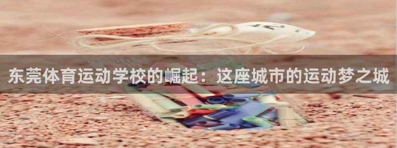 尊龙官网下载招商电话号码:东莞体育运动学校的崛起:这座城市的